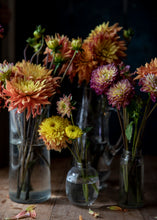 Load image into Gallery viewer, Dahlias in Glass
