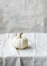 Load image into Gallery viewer, Snow White Pumpkin
