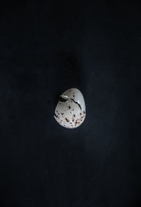 Egg-9X2A7874