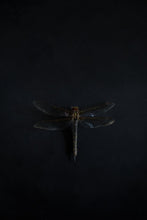 Load image into Gallery viewer, DragonFly-9X2A8596
